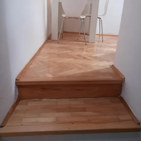 Fani